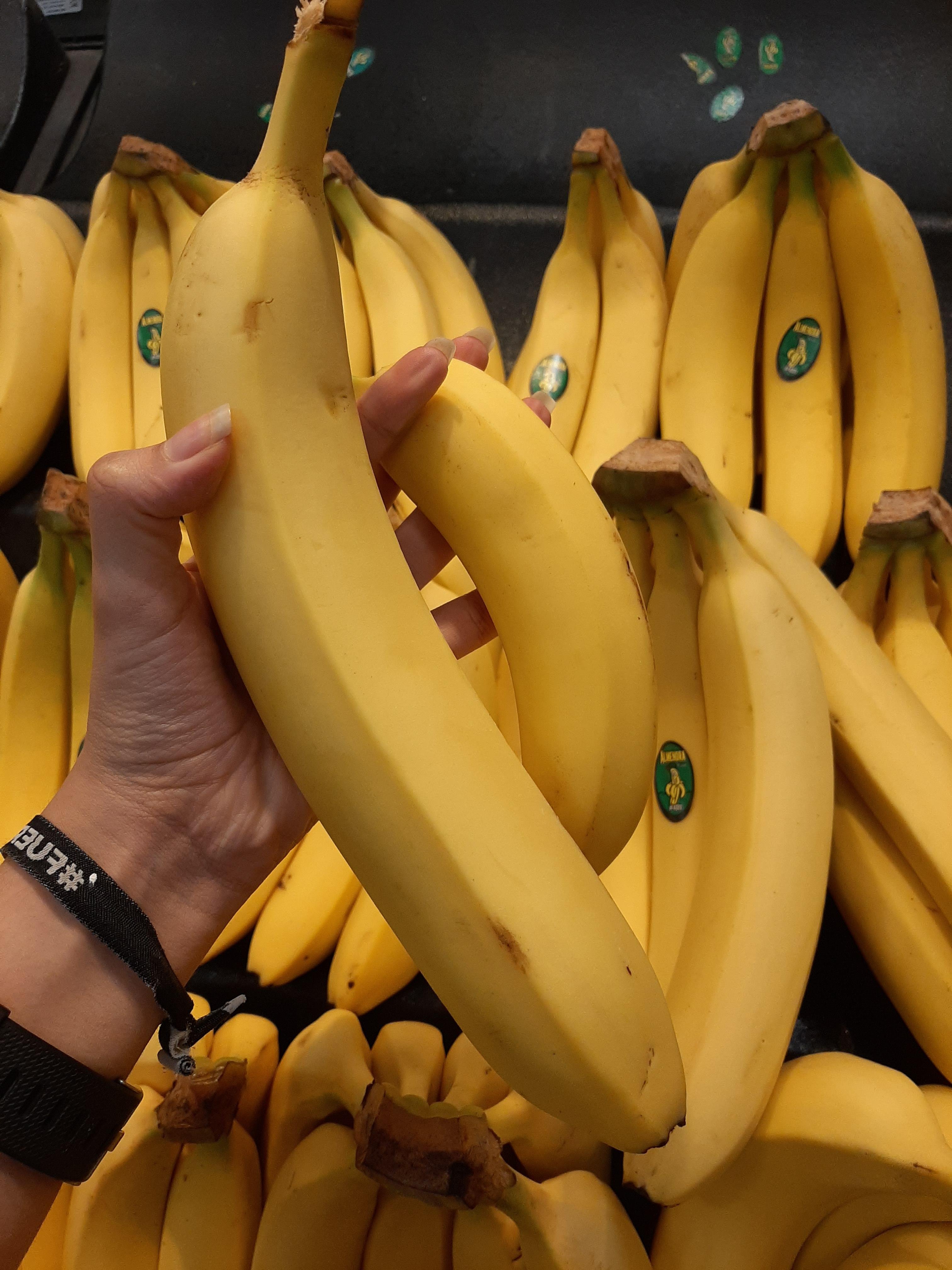 빅 바나나 조형물 앞 (The Big Banana Structure)